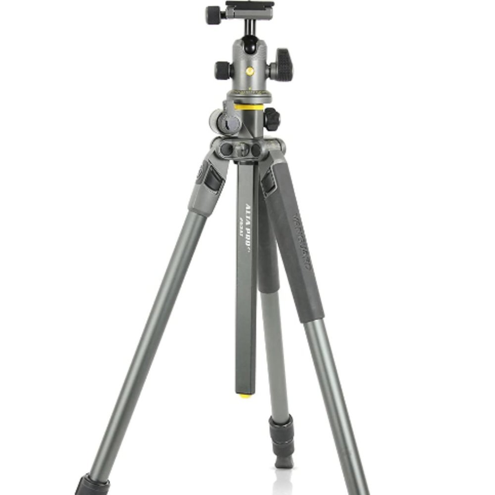 Vanguard Alta Pro 2+ 263AB 100 Aluminum Tripod with Alta BH-100 Ball Head and Mu